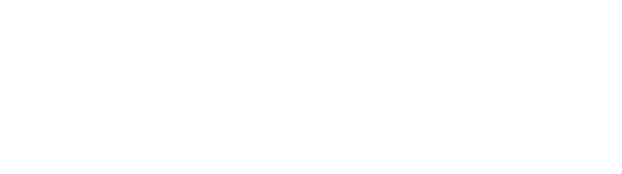 Lenovo Motorsports Partnership Logo