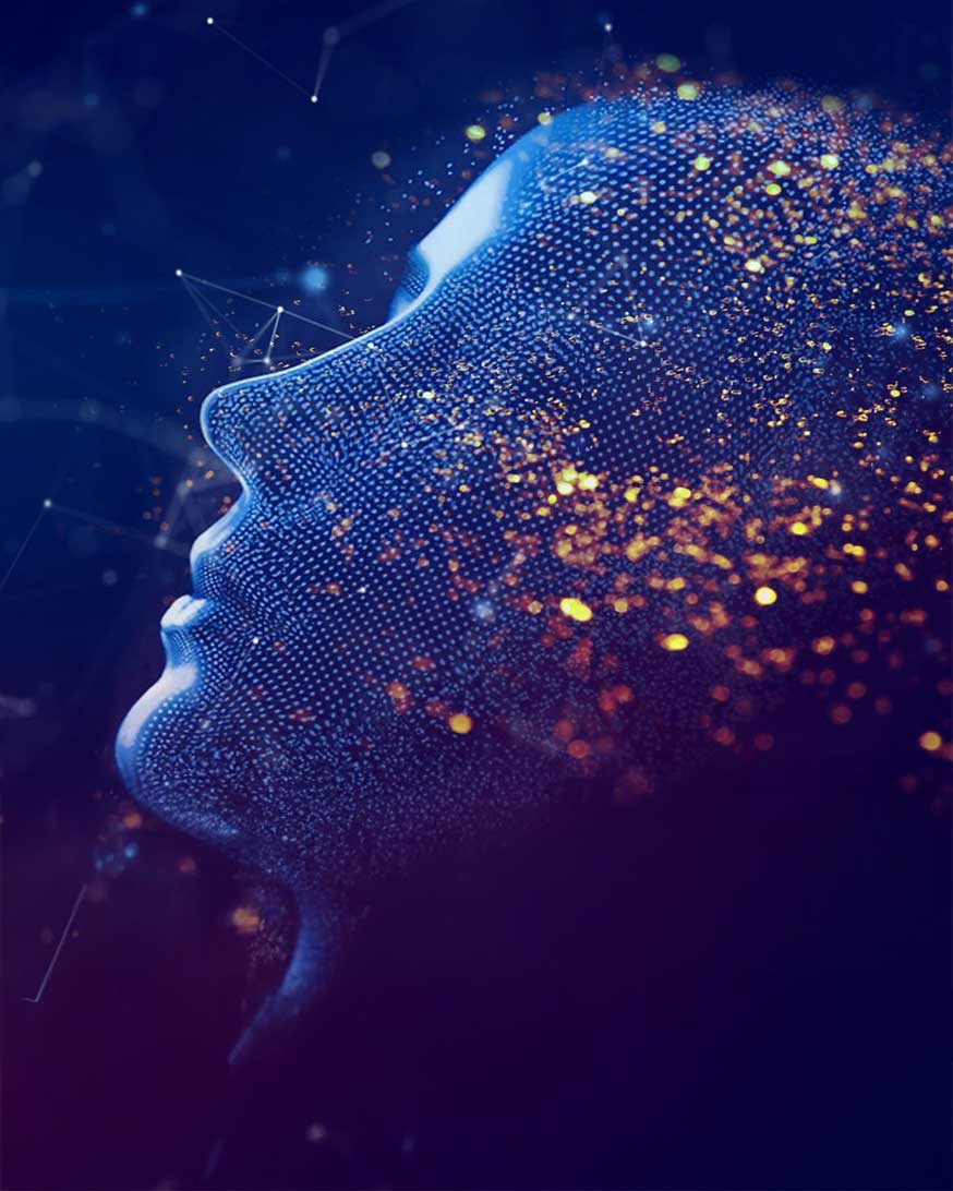 A 3-D computer model of a human face. 