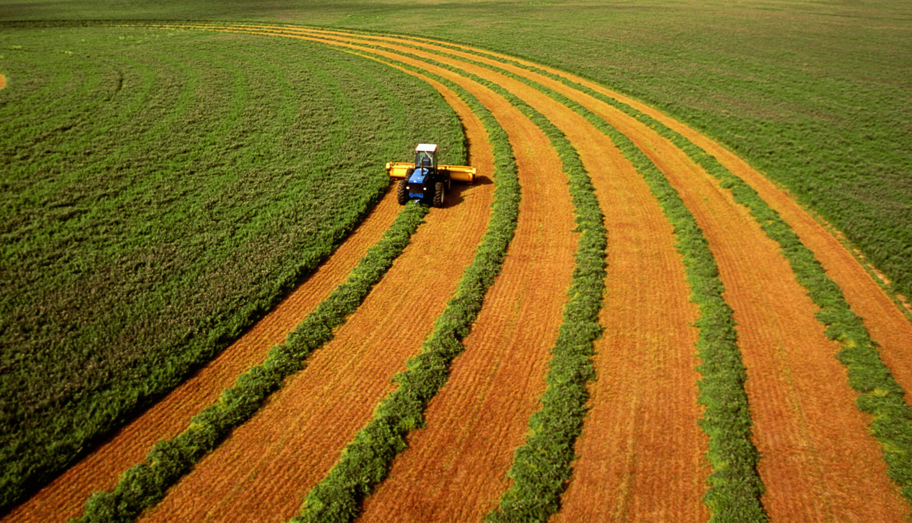 A tractor harvesting crops on a plot of farmland