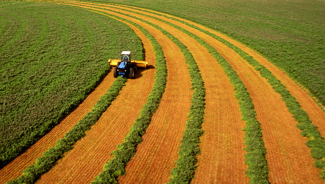 A tractor harvesting crops in a field