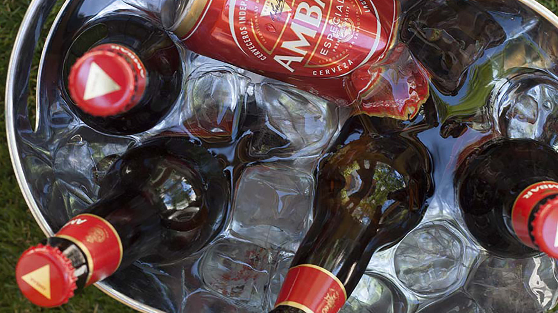 Close-up of beer bottles in an ice tub 