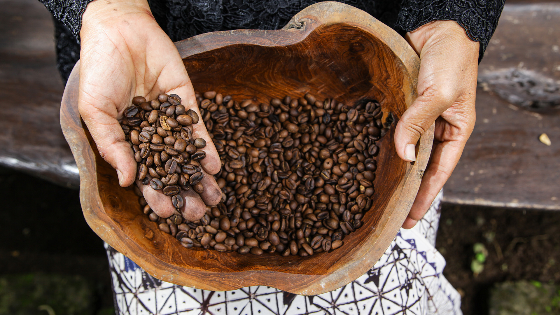 焙煎されたコーヒー豆を手にする女性