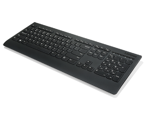 Lenovo Professional Wireless Keyboard and Mouse Combo