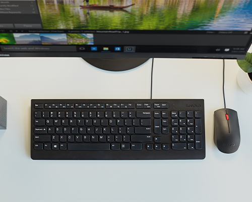 Lenovo Essential Wired Combo Keyboard and Mouse (US English 103P)