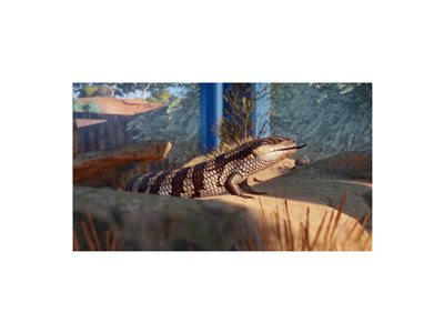 

Planet Zoo Australia Pack - DLC - Windows