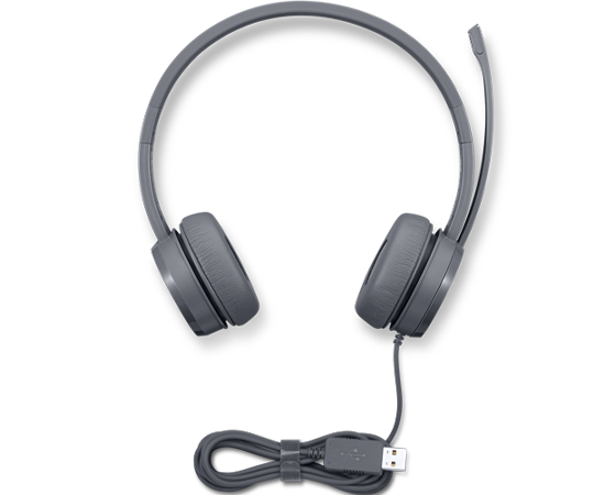 Lenovo Select USB Wired Stereo Headset
