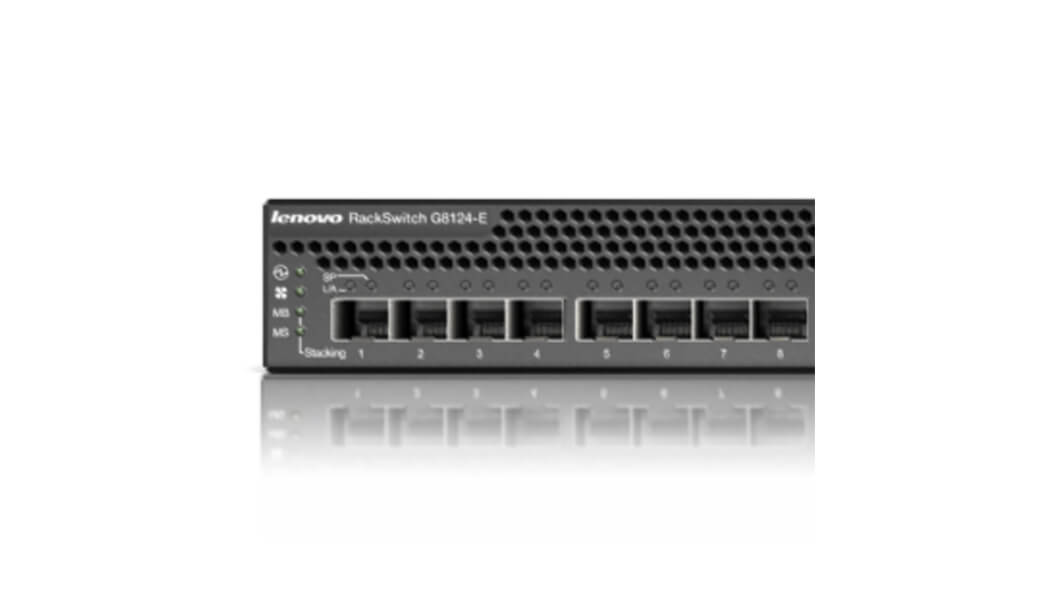 Lenovo RackSwitch G8124E Front Detail View of Ports