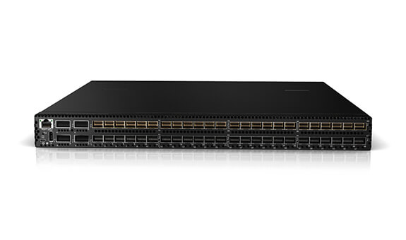Lenovo RackSwitch G8264 Front View