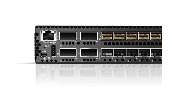 Lenovo RackSwitch G8264 Front Detail View of Ports
