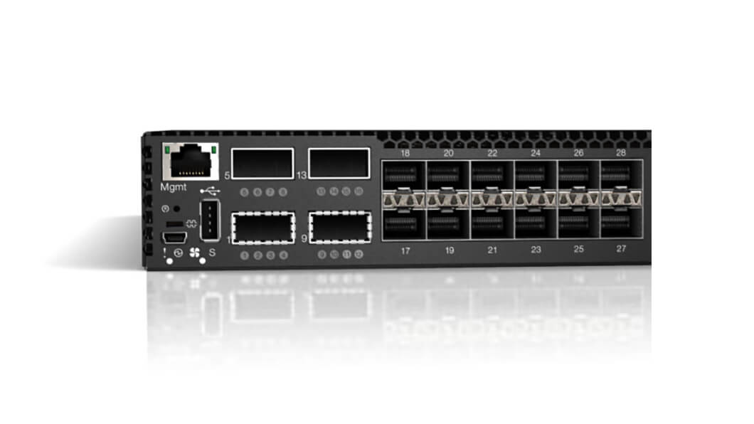 Lenovo RackSwitch G8264CS Front Detail View of Ports