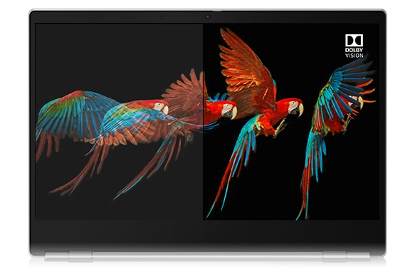  A ThinkBook 13s' display, showing a very colorful parrot about to land.